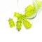 Neon Green Gummy Bear Resin 3D Charms with eye screw, 20x12mm